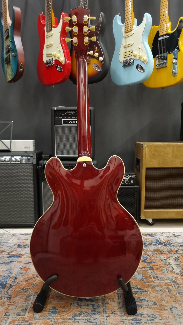 Stanford CR Thinline 35 Cherry - 335 style (Usato)