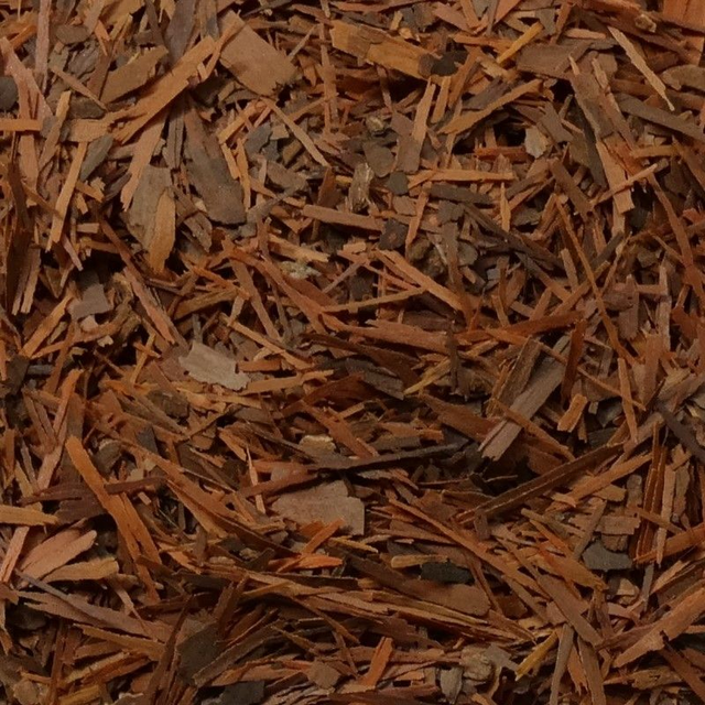 Lapacho (Pau d'Arco) 