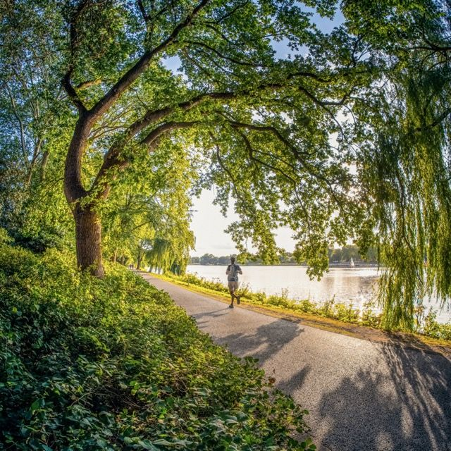 Uferweg am Aasee