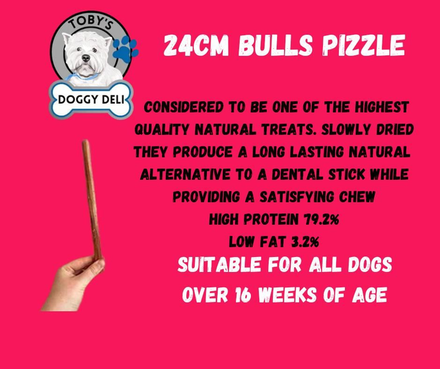 24cm Bulls Pizzle