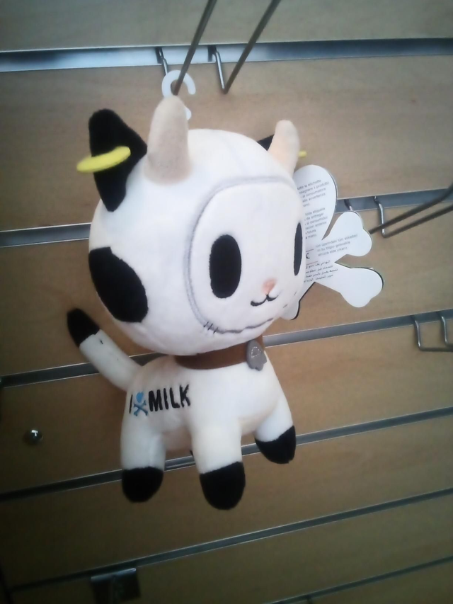 Chat vache.  