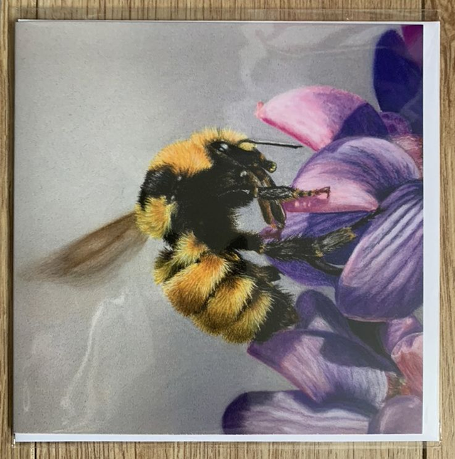 Greetings Card - American Bumble Bee - Blank Inside