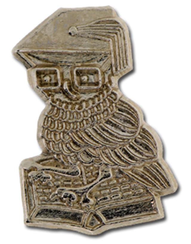(2) Owl Badge - Silver