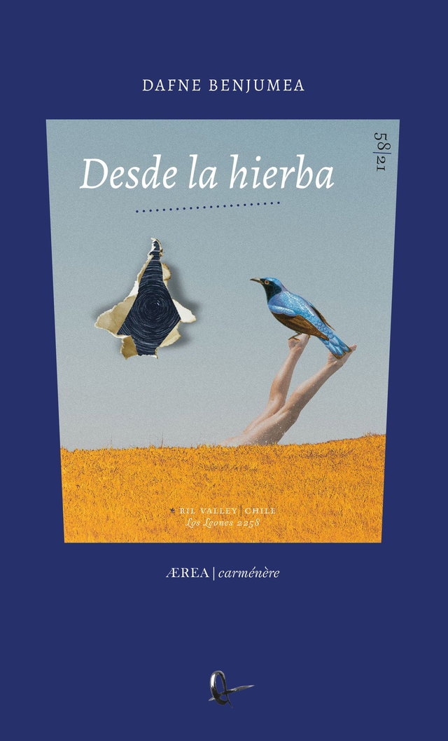 Desde la hierba - Dafne Benjumea
