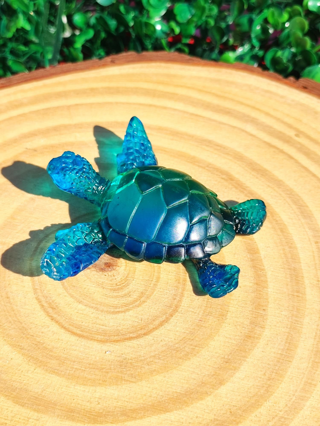 Tortue de mer