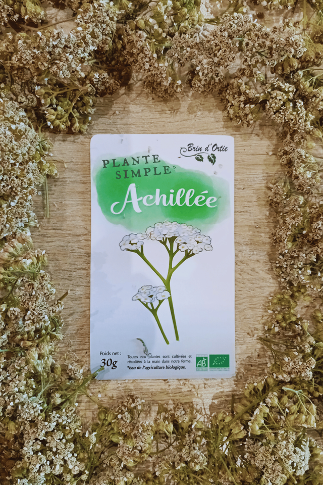 Fleur simple, achillée