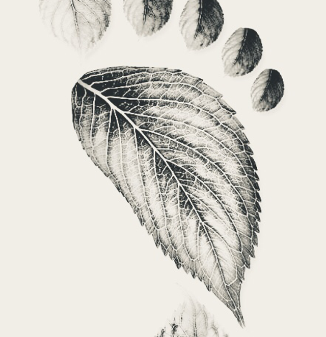 La Pause Confort Des Pieds