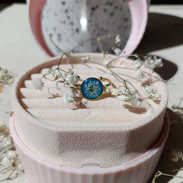 Stella Bleu - Champ et ciel