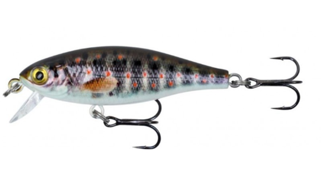 SHORTY 50S Color TRJ