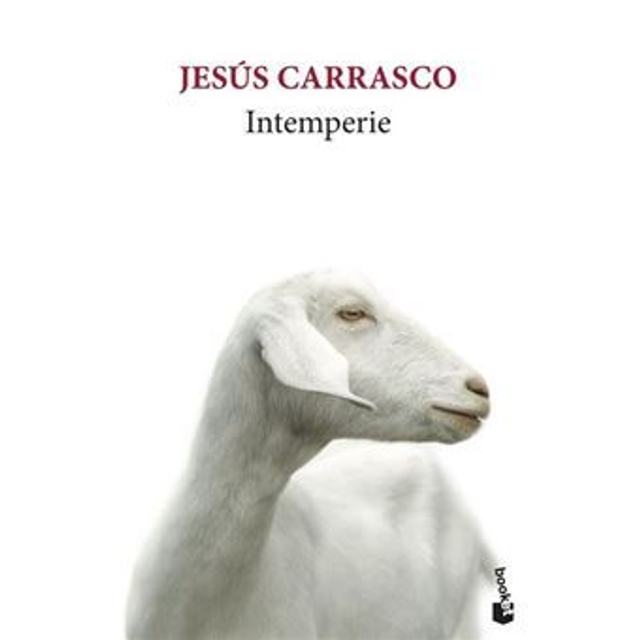 Intemperie - Jesús Carrasco