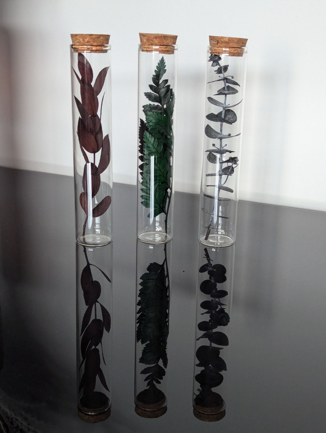 Fioles en verre (x3) - Potion feuillue