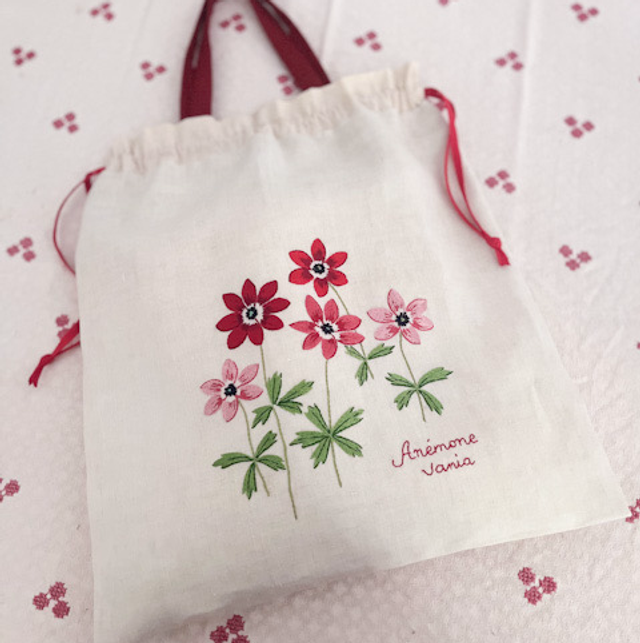 Premières Anémones 