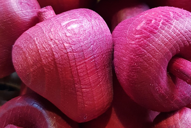 Himbeere / Framboos / Raspberry