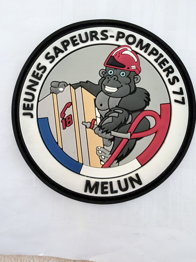 Ecusson officiel JSP en PVC 