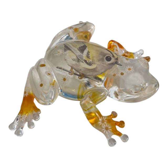  La Grenouille de la Joie Printanière