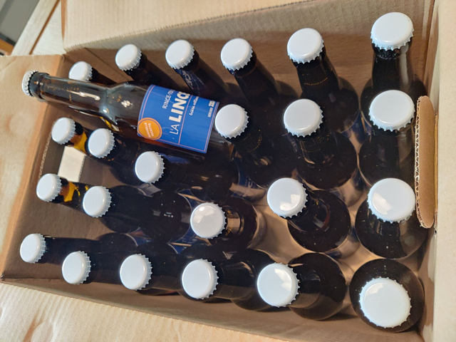 Pack de 24 Lincettes