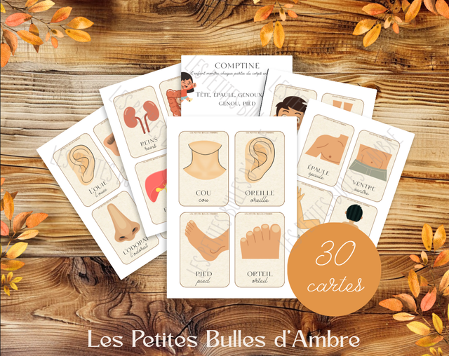 Imagier - Le corps humain