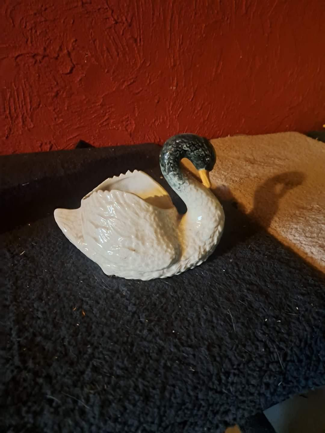 Canard creux 