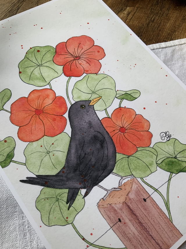 Reproduction A5 « Merlette florale »