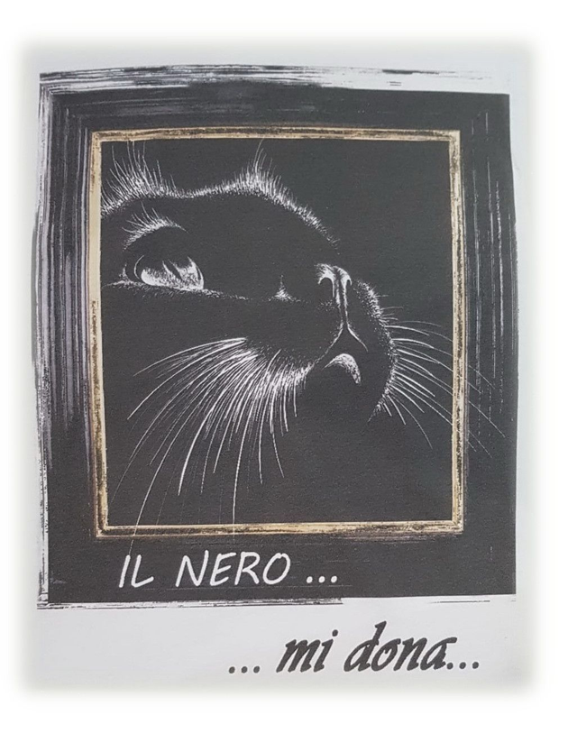 4CAT - Vline T-Shirt mezza manica cotone biologico slim fit