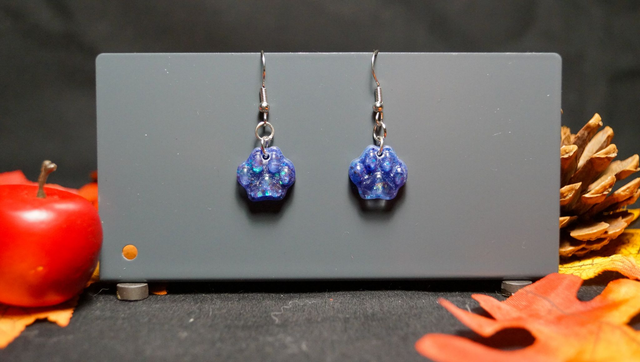 Boucle d'oreilles patoune galaxie 