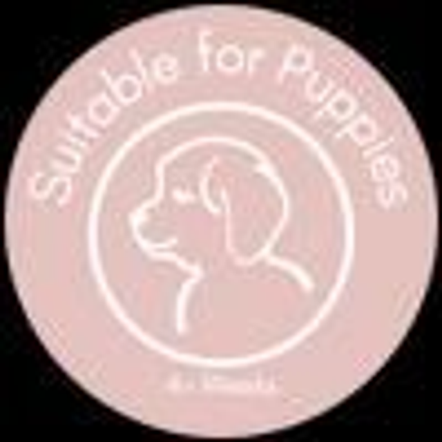 2 x Chicken & Cheese Gourmet Sticks