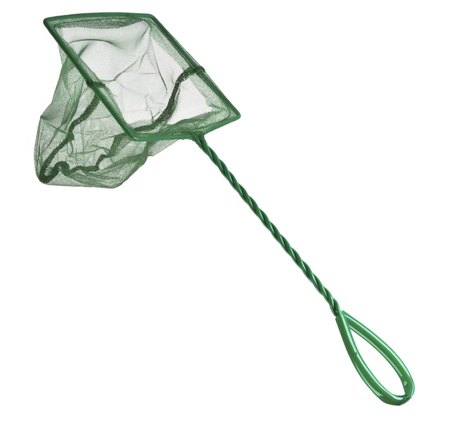 Köderfisch/Aquarium Kescher