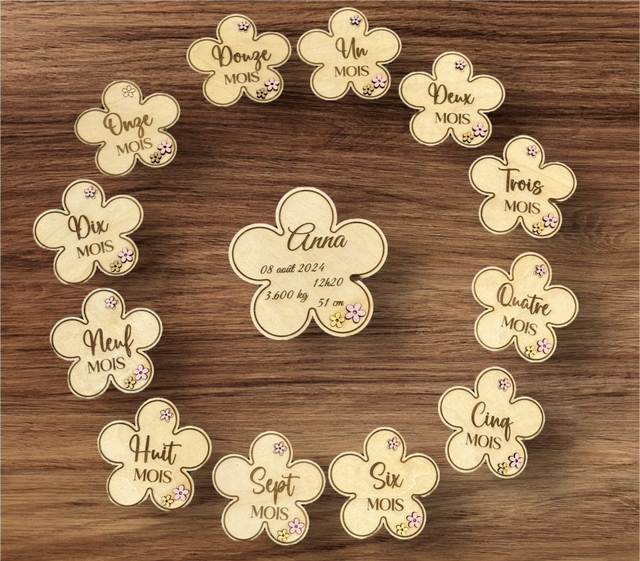 Cartes d’étapes 12 mois 