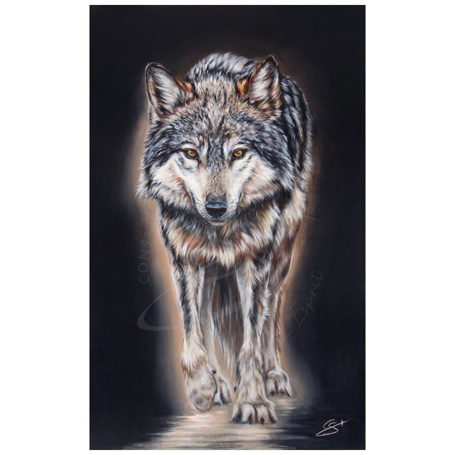 Loup Pejuta Shunkmanitu Tanka 