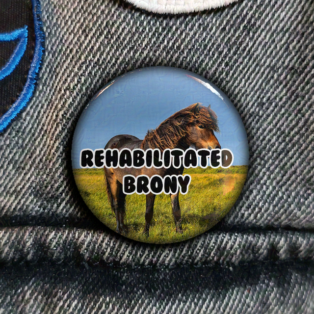 Rehabilitated Brony