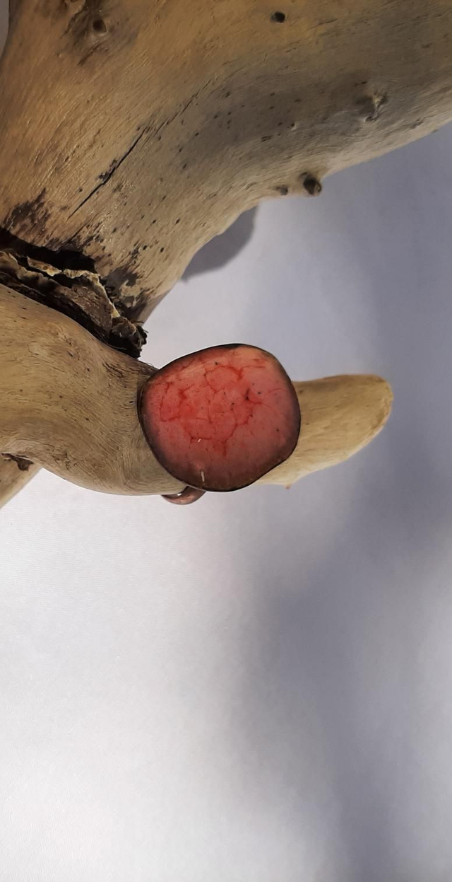 Bague rose rouge corail