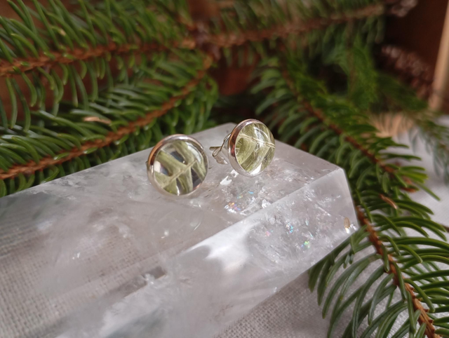 Clous d'oreilles - Fougère