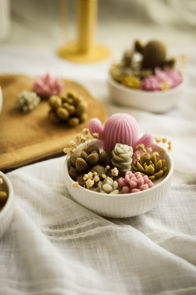 Atelier Bougie "Jardin de succulentes"