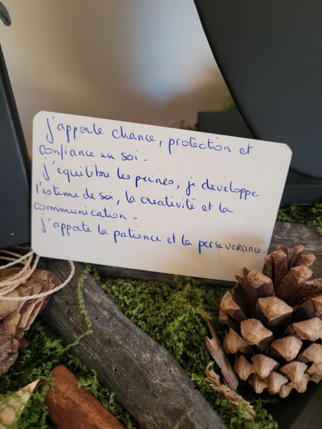 Pierre de l'âme : Jaspe 2