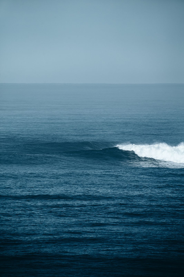 Océan - Belharra 4 Demi