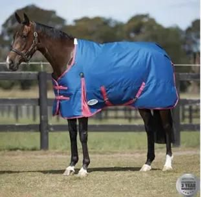 Weatherbeeta Comfitec Classic Standard Neck Medium Turnout Rug