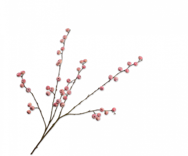 Silk-Ka Appeltak Roze 123cm