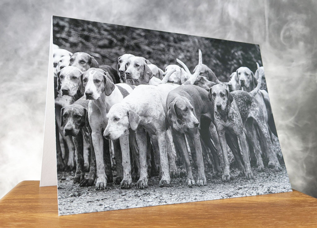 Hounds Blank Card