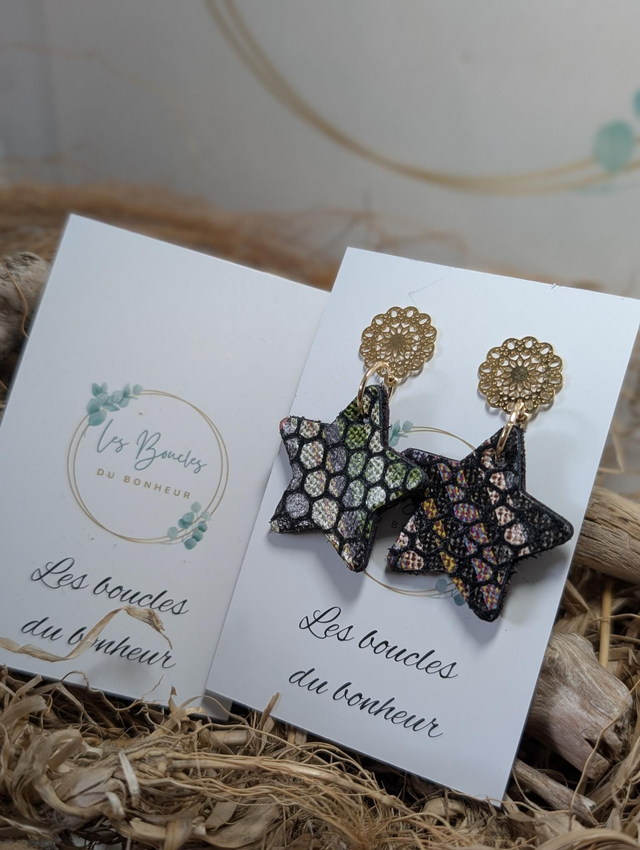 Boucles d&#039;oreilles Petite étoile st057