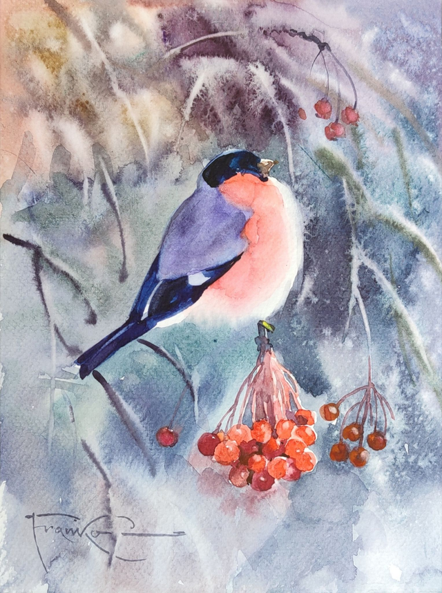 Gil, 35x28 (24x18 w świetle passe-partout) akwarela 2024