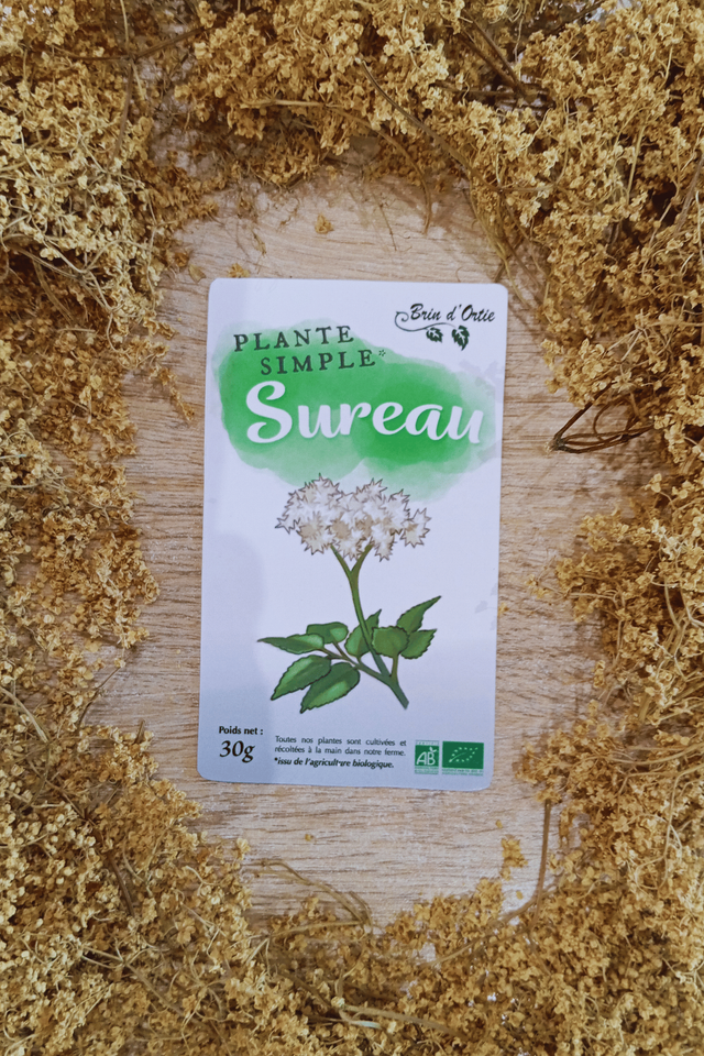 Fleur simple, Sureau