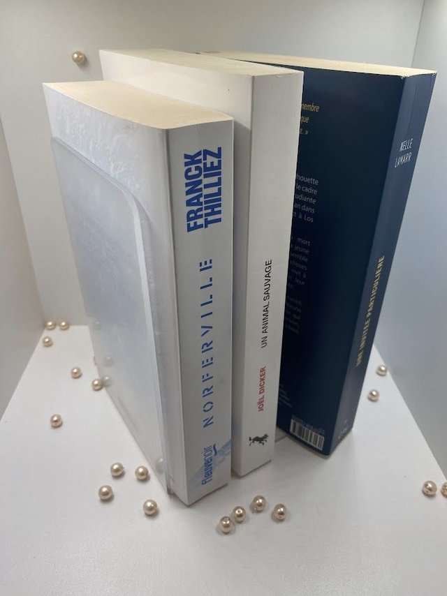 Serre livre en Acrylique Transparent x2