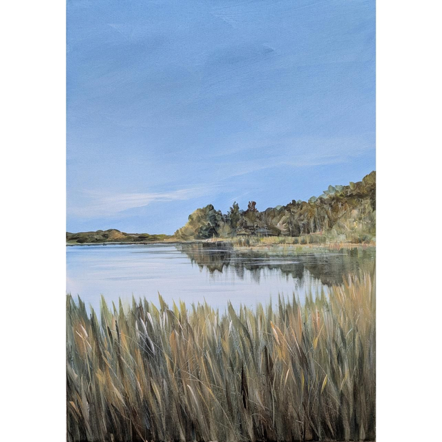 Frensham in the sunshine