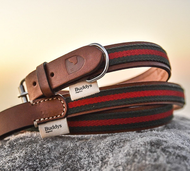 Buddy&#039;s Dogwear Baseball Kollektion