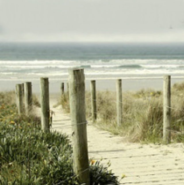 Wood Sage &amp; Sea Salt