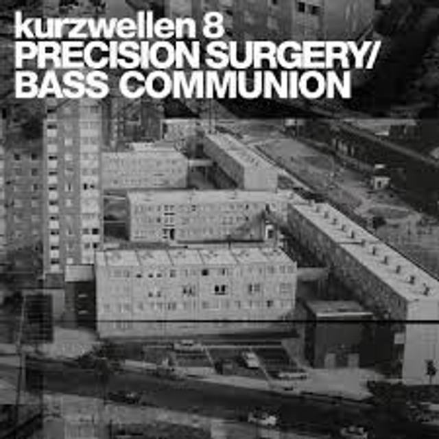 Bass Communion - Kurzwellen 8 [LP]/DMW