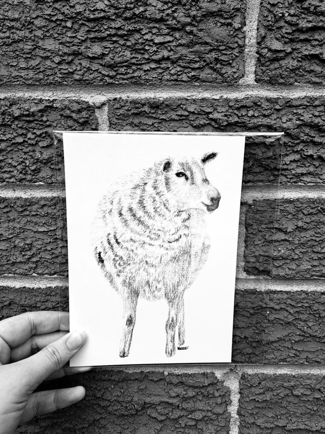 Sheep Mini Print