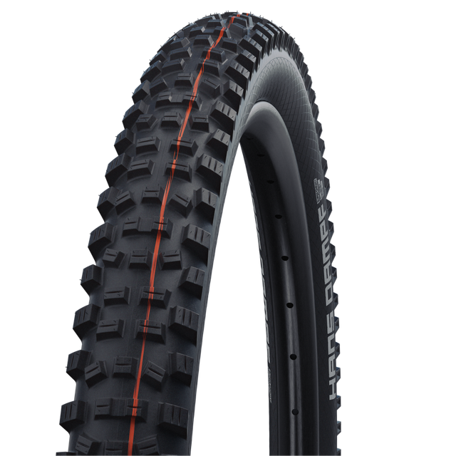 Schwalbe HANS DAMPF