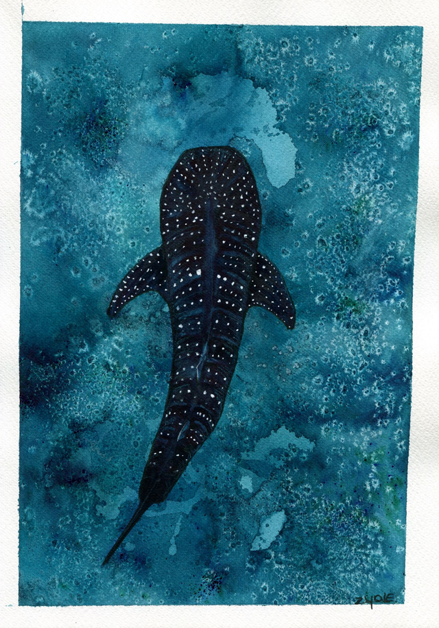 Original / Walhai - Spendenbild 