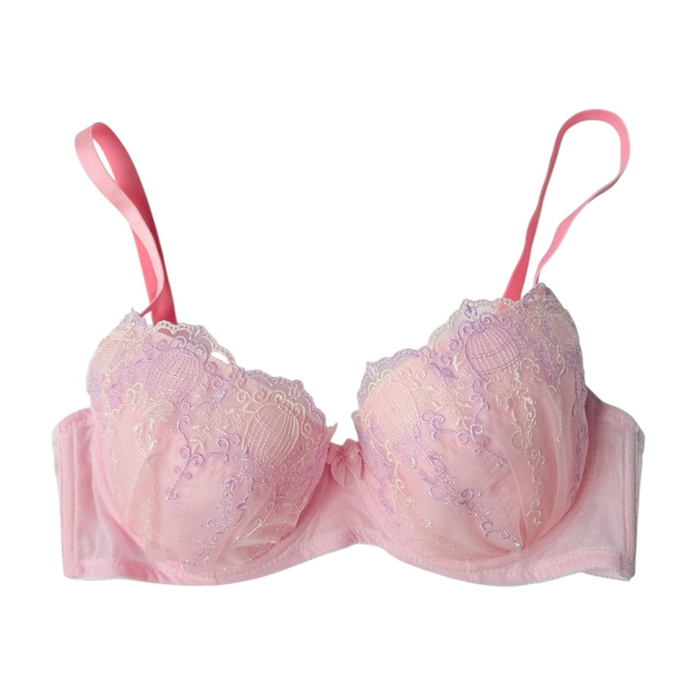 Pink Birdy Embroidered Japanese Bra UK 34D   